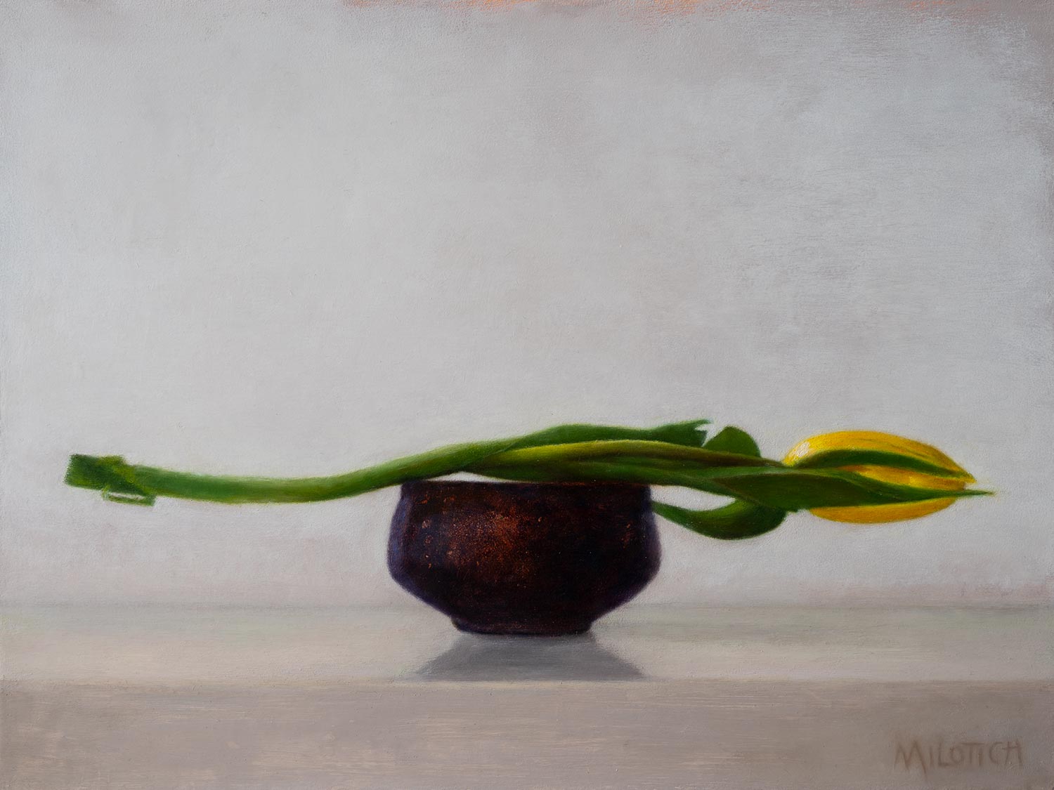 Yellow Tulip on Japanese Bowl, ein originales Ölbild von Ute Milotich